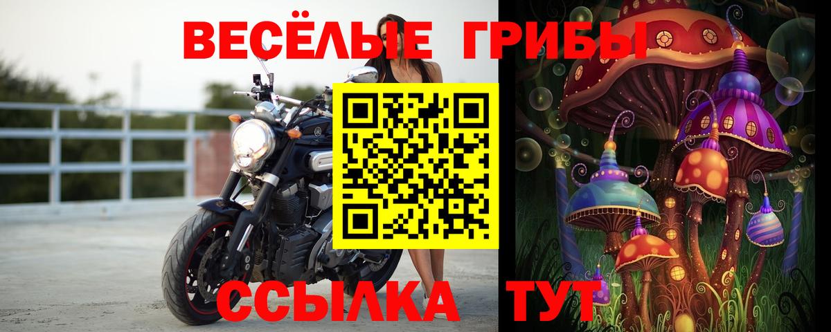 Наро-Фоминск  Галлюциногенные грибы MAGIC MUSHROOMS  магазин    Вход с VPN 